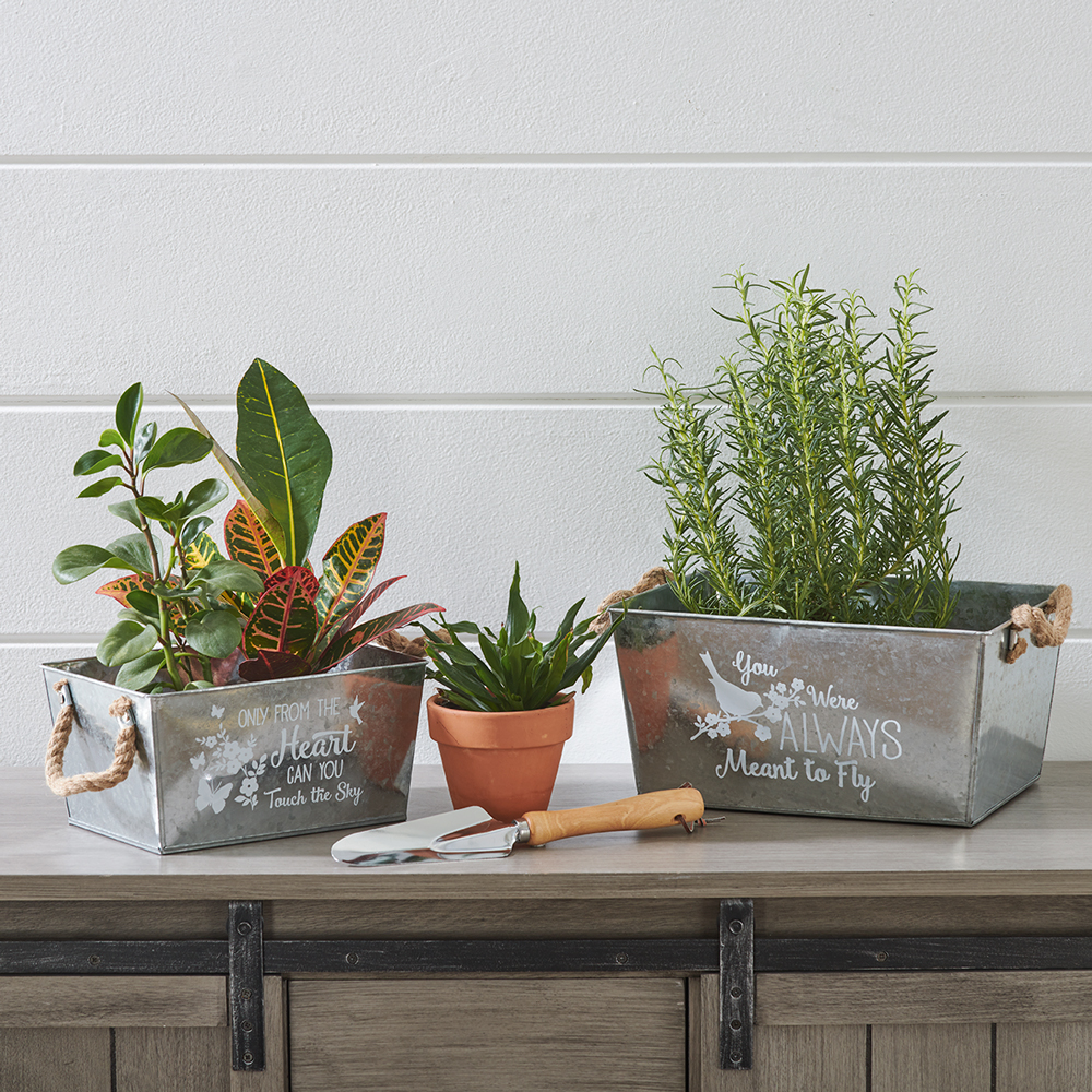 Galvanized Planter Set New Signature Homestyles